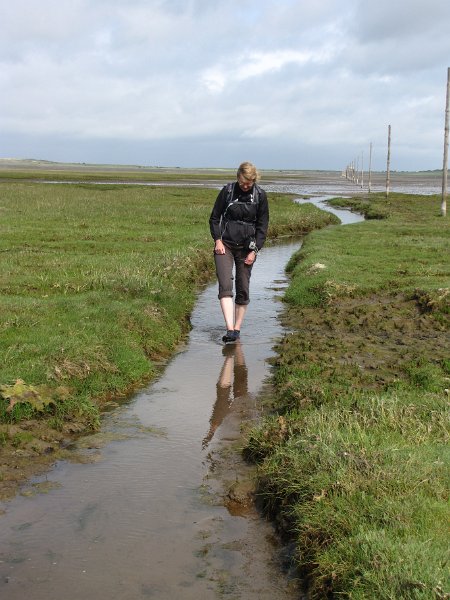 pilgrims path_kanaaltjes.jpg - Uiteraard verlaten we het eiland weer via the pilgrims path. Frouwkje loopt hier bewust door het water. Het gras links en rechts groeit op hele zachte glibberige modder. Je kunt dus beter door de kanaaltjes lopen.
